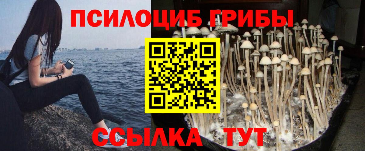 Галлюциногенные грибы прущие грибы  Псилоцибиновые грибы мухоморы  Чехов  Вход с VPN 